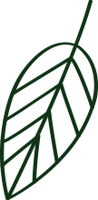Decorazione